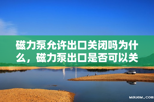 磁力泵允许出口关闭吗为什么，磁力泵出口是否可以关闭？解析其可行性与风险