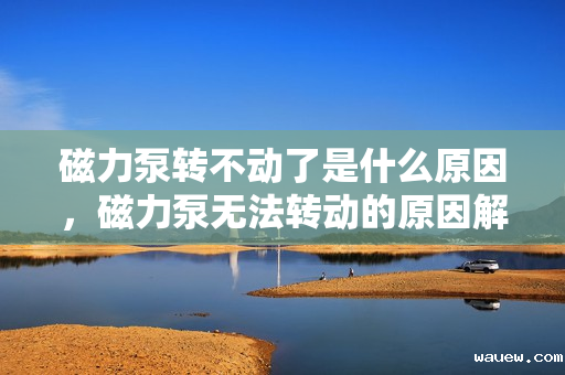 磁力泵转不动了是什么原因，磁力泵无法转动的原因解析