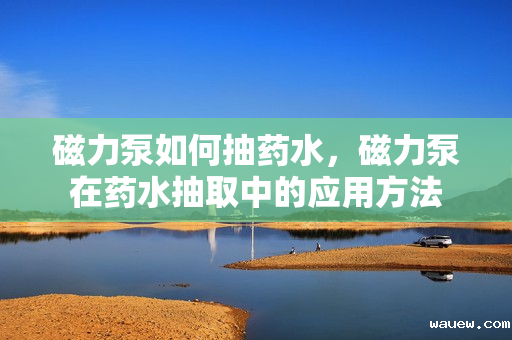 磁力泵如何抽药水，磁力泵在药水抽取中的应用方法