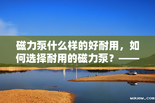 磁力泵什么样的好耐用，如何选择耐用的磁力泵？——优质磁力泵的特点与选购指南