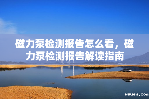 磁力泵检测报告怎么看，磁力泵检测报告解读指南