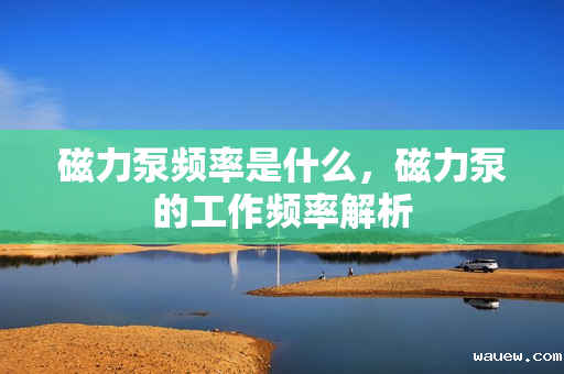 磁力泵频率是什么，磁力泵的工作频率解析