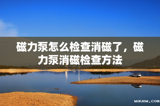 磁力泵怎么检查消磁了，磁力泵消磁检查方法