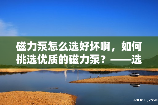磁力泵怎么选好坏啊，如何挑选优质的磁力泵？——选购指南