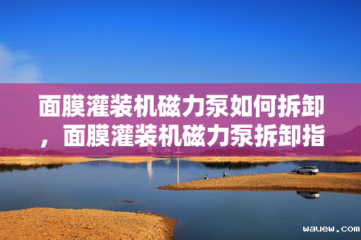 面膜灌装机磁力泵如何拆卸，面膜灌装机磁力泵拆卸指南