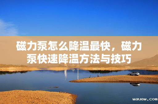 磁力泵怎么降温最快，磁力泵快速降温方法与技巧