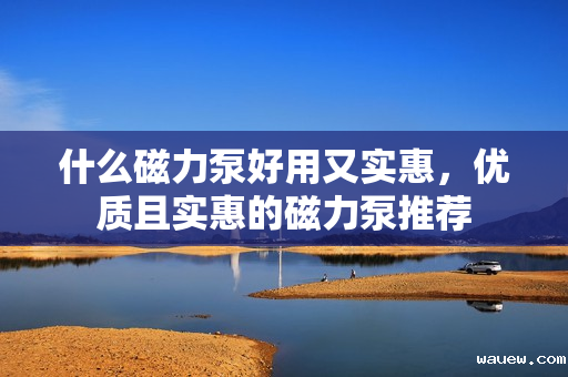 什么磁力泵好用又实惠，优质且实惠的磁力泵推荐