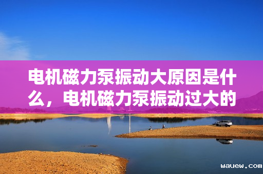 电机磁力泵振动大原因是什么，电机磁力泵振动过大的原因解析