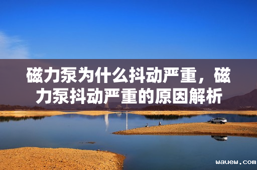 磁力泵为什么抖动严重，磁力泵抖动严重的原因解析