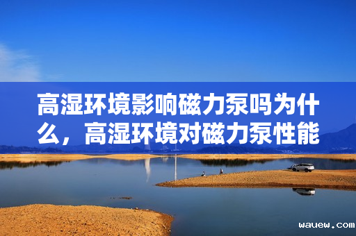 高湿环境影响磁力泵吗为什么，高湿环境对磁力泵性能的影响及原因解析