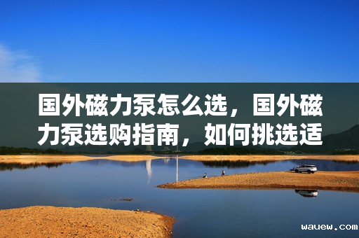 国外磁力泵怎么选，国外磁力泵选购指南，如何挑选适合的磁力泵