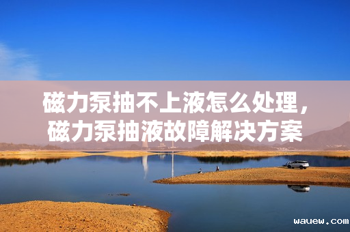 磁力泵抽不上液怎么处理，磁力泵抽液故障解决方案