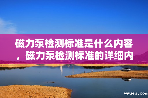 磁力泵检测标准是什么内容，磁力泵检测标准的详细内容与要求