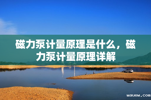 磁力泵计量原理是什么，磁力泵计量原理详解