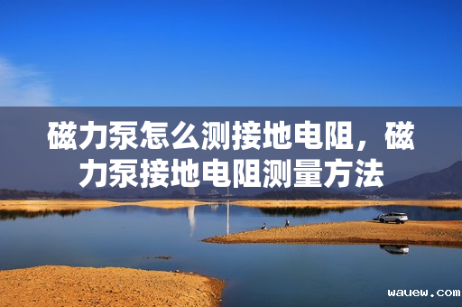 磁力泵怎么测接地电阻，磁力泵接地电阻测量方法