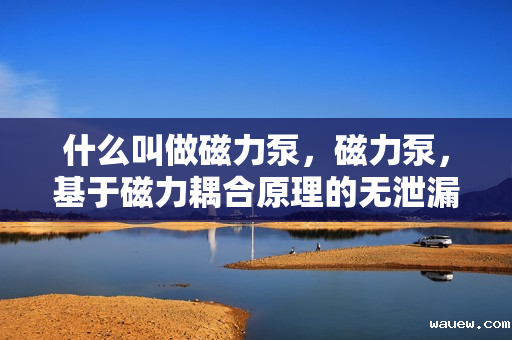 什么叫做磁力泵，磁力泵，基于磁力耦合原理的无泄漏离心泵