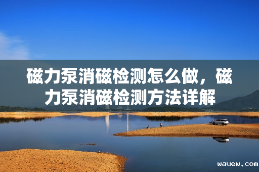 磁力泵消磁检测怎么做，磁力泵消磁检测方法详解