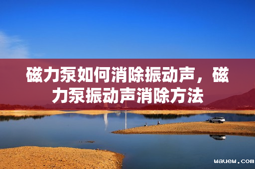 磁力泵如何消除振动声，磁力泵振动声消除方法