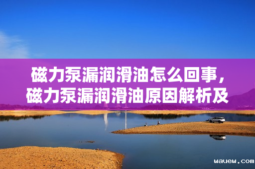 磁力泵漏润滑油怎么回事，磁力泵漏润滑油原因解析及处理方法