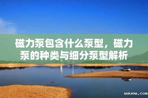 磁力泵包含什么泵型，磁力泵的种类与细分泵型解析