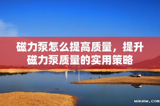 磁力泵怎么提高质量，提升磁力泵质量的实用策略