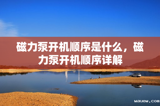 磁力泵开机顺序是什么，磁力泵开机顺序详解