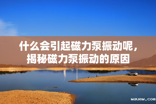 什么会引起磁力泵振动呢，揭秘磁力泵振动的原因