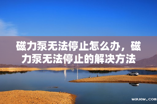 磁力泵无法停止怎么办，磁力泵无法停止的解决方法