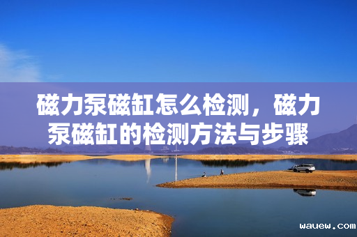 磁力泵磁缸怎么检测，磁力泵磁缸的检测方法与步骤