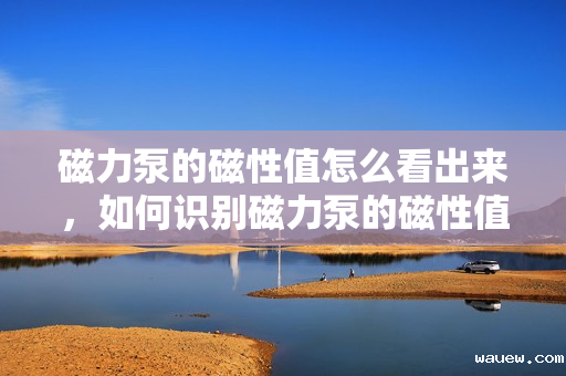 磁力泵的磁性值怎么看出来，如何识别磁力泵的磁性值