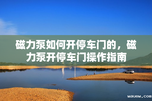 磁力泵如何开停车门的，磁力泵开停车门操作指南