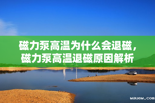 磁力泵高温为什么会退磁，磁力泵高温退磁原因解析