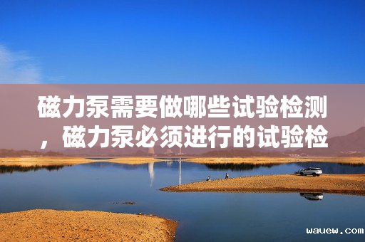 磁力泵需要做哪些试验检测，磁力泵必须进行的试验检测项目