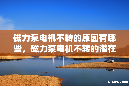 磁力泵电机不转的原因有哪些，磁力泵电机不转的潜在原因分析