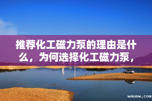 推荐化工磁力泵的理由是什么，为何选择化工磁力泵，优势与理由详解