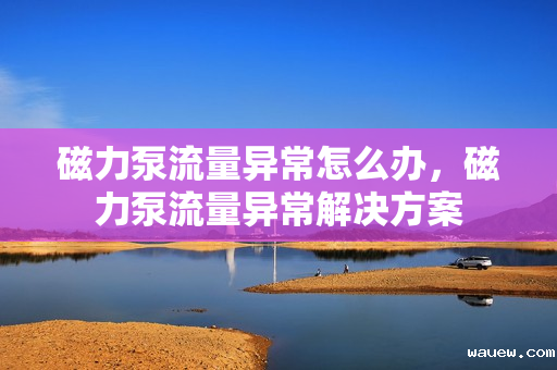 磁力泵流量异常怎么办，磁力泵流量异常解决方案