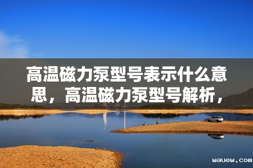 高温磁力泵型号表示什么意思，高温磁力泵型号解析，了解各部分的含义