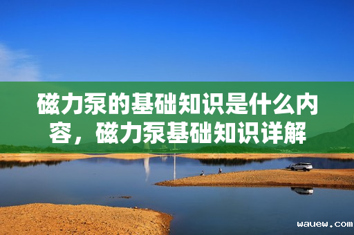 磁力泵的基础知识是什么内容，磁力泵基础知识详解