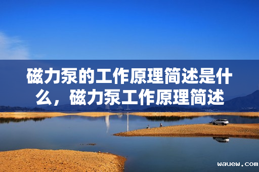 磁力泵的工作原理简述是什么，磁力泵工作原理简述