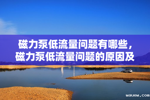 磁力泵低流量问题有哪些，磁力泵低流量问题的原因及解决方案