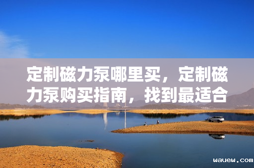 定制磁力泵哪里买，定制磁力泵购买指南，找到最适合您的磁力泵供应商