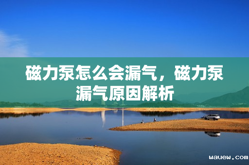 磁力泵怎么会漏气，磁力泵漏气原因解析