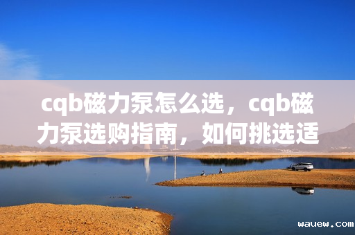 cqb磁力泵怎么选，cqb磁力泵选购指南，如何挑选适合的磁力泵