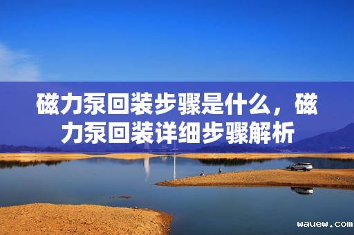 磁力泵回装步骤是什么，磁力泵回装详细步骤解析