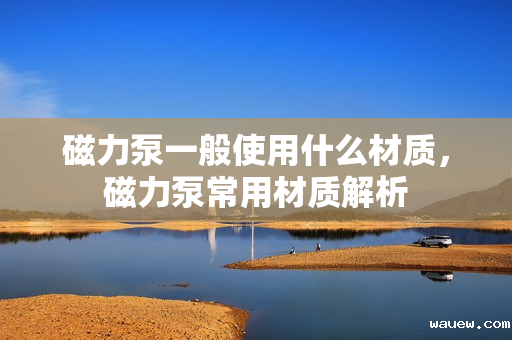 磁力泵一般使用什么材质，磁力泵常用材质解析