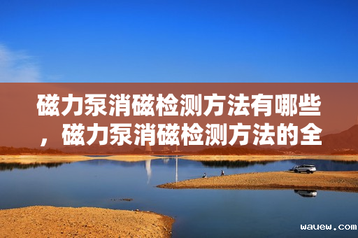 磁力泵消磁检测方法有哪些，磁力泵消磁检测方法的全面解析