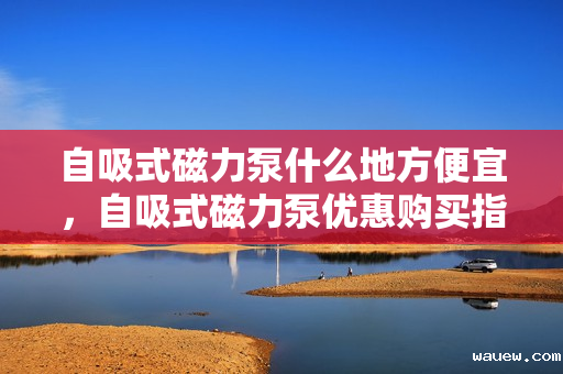 自吸式磁力泵什么地方便宜，自吸式磁力泵优惠购买指南，寻找性价比高的购买地点