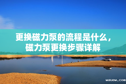 更换磁力泵的流程是什么，磁力泵更换步骤详解