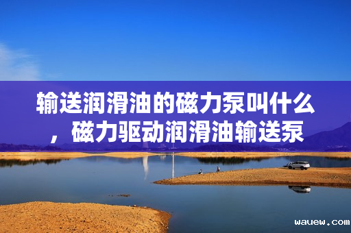 输送润滑油的磁力泵叫什么，磁力驱动润滑油输送泵