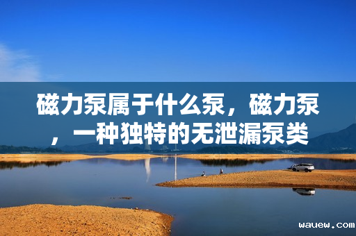 磁力泵属于什么泵，磁力泵，一种独特的无泄漏泵类